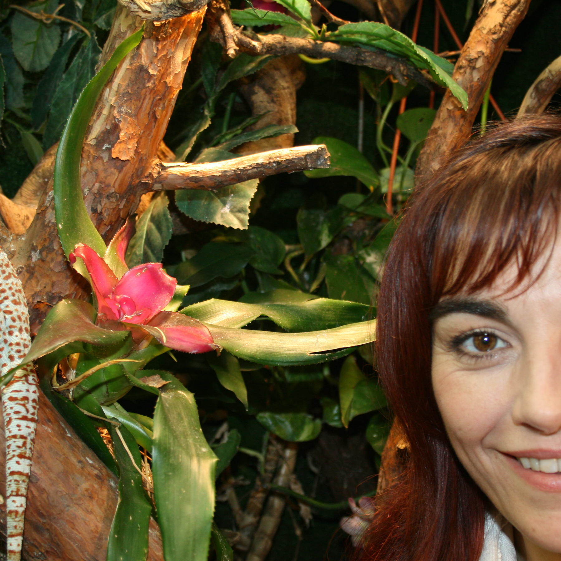 Tiergeschichte 2 - Bild 1 - Diana und Riesengecko (2) Tiergeschichte 2 - Bild 1 - Diana und Riesengecko (2)