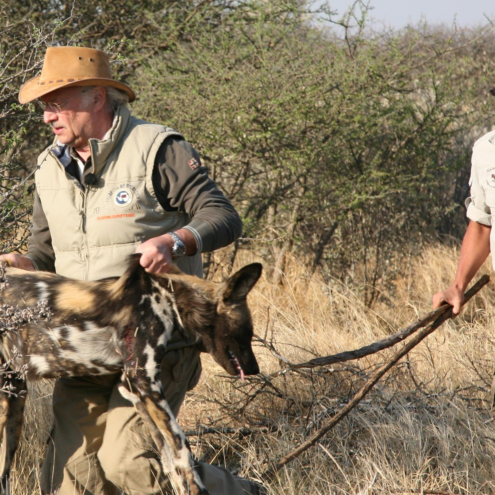 Sprechstunde - Dr. Wolf in Namibia bei Wildhunden Sprechstunde - Dr. Wolf in Namibia bei Wildhunden