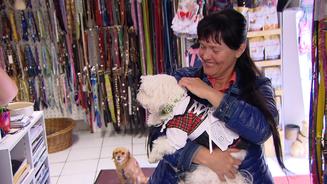 In Beates Hundesalon geht's rund