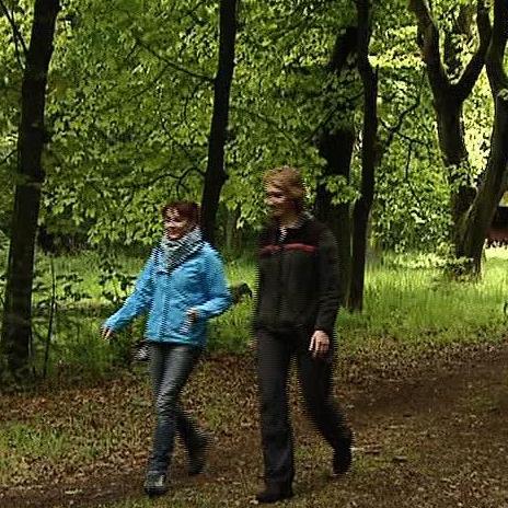 Vorschau3 - VOX - Diana und Frsterin