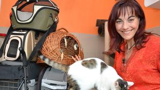 Katzentransportboxen im Test