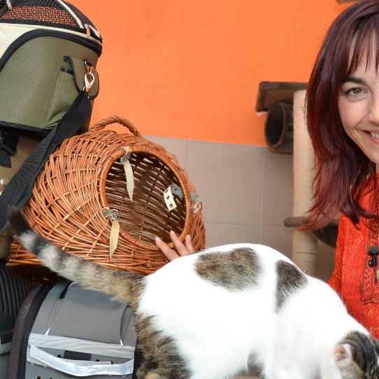 Tiergeschichten3 - VOX-DOCMA TV - Diana testen Katzentransportboxen Tiergeschichten3 - VOX-DOCMA TV - Diana testen Katzentransportboxen
