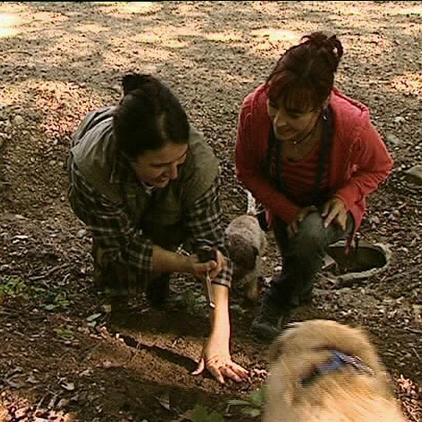 Tiergeschichten1 Diana Denise und Hunde Trffel Tiergeschichten1 Diana Denise und Hunde Trffel