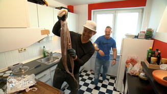 Pauls Vorspeise kostet Überwindung