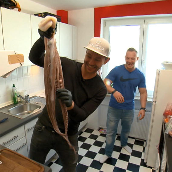 Paul und Oktopus.jpg Paul und Oktopus.jpg