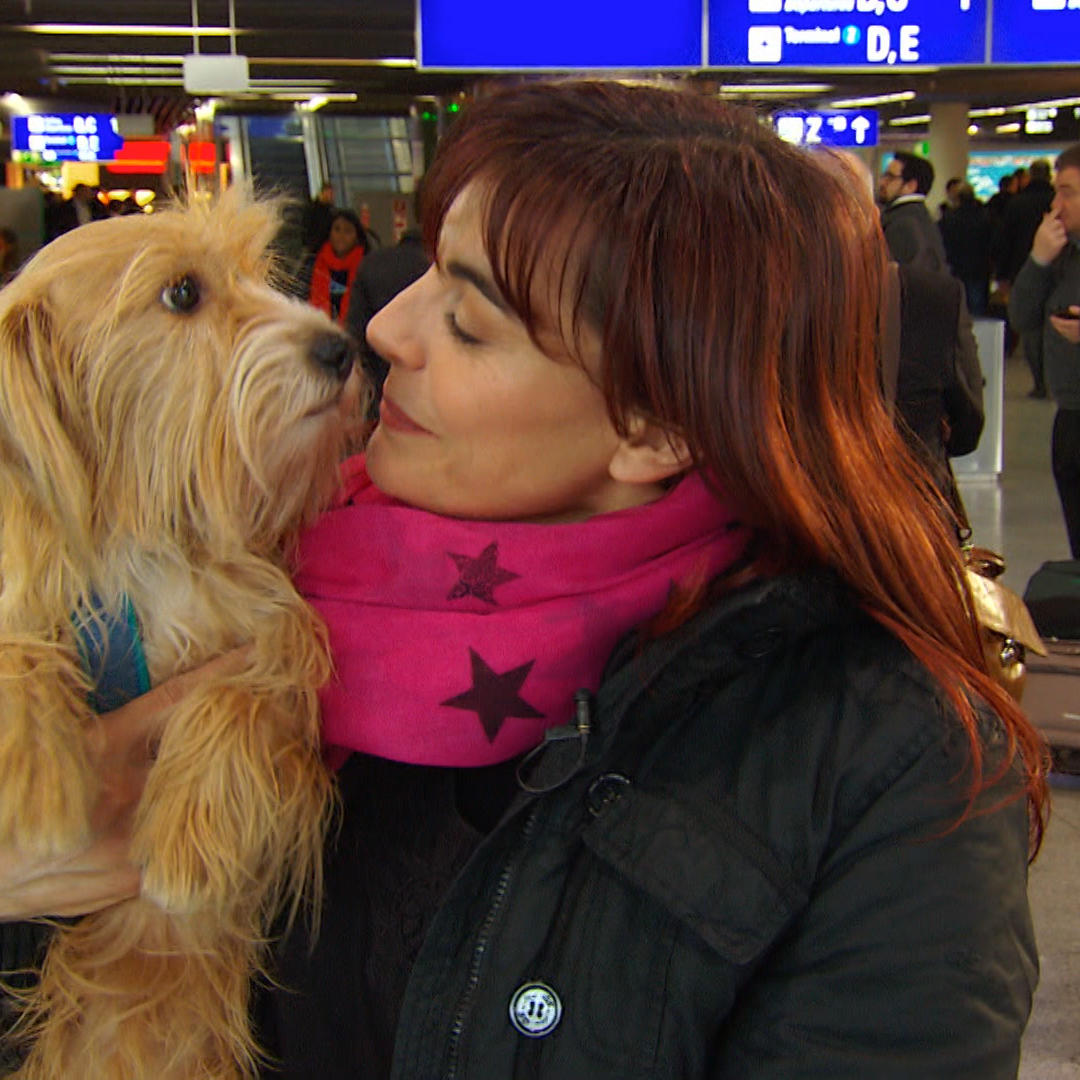 Tiergeschichten2 - VOX - Diana und Klein-Maggie informieren sich auf dem Frankfurter Flughafen ber Petshipping Tiergeschichten2 - VOX - Diana und Klein-Maggie informieren sich auf dem Frankfurter Flughafen ber Petshipping