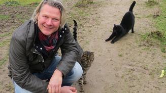 Zimmer frei für Meerschweinchen