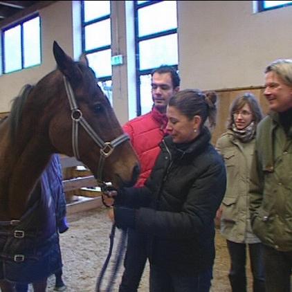 Vorschau Frank Weber und Pferd Abby Vorschau Frank Weber und Pferd Abby