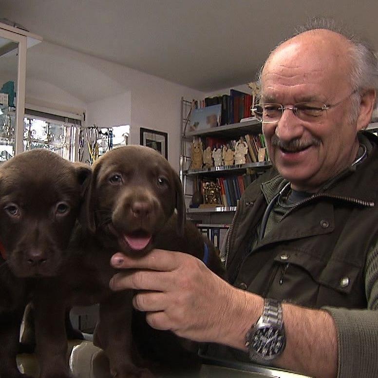 Sprechstunde - Labradorhndin Collin Wurfkontrolle (1)