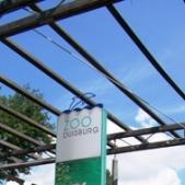 zoo duisburg zoo duisburg