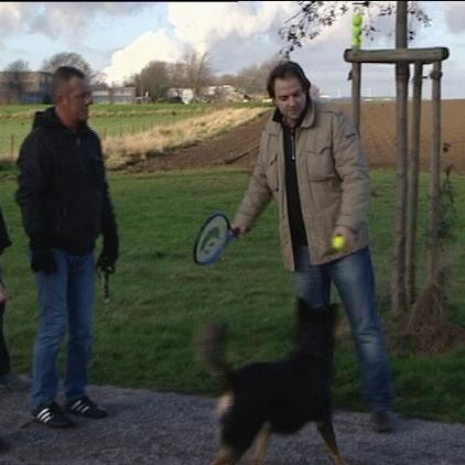 hundeprofi cassy+familie hundeprofi cassy+familie