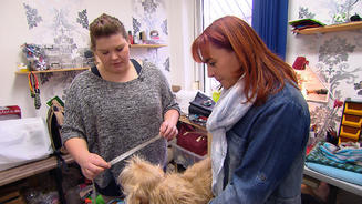 Do-It-Yourself: Hundehalsbänder