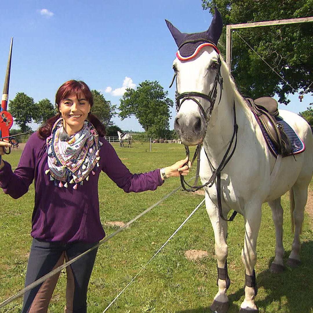 TG2 - Ringreiten - VOX - hundkatzemaus-Reporterin Diana Eichhorn zeigt was man alles fr das Ringreiten bentigt TG2 - Ringreiten - VOX - hundkatzemaus-Reporterin Diana Eichhorn zeigt was man alles fr das Ringreiten bentigt