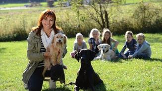 Wie gehen Kinder sicher mit Hunden um?