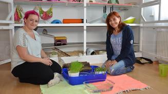 Diana hilft Rattenbesitzerin Stephanie
