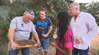 Besuch bei Sabrinas Bienenvolk