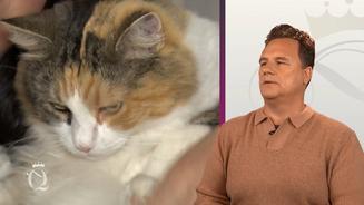 Pummy, die zahnlose "Killer-Katze" 
