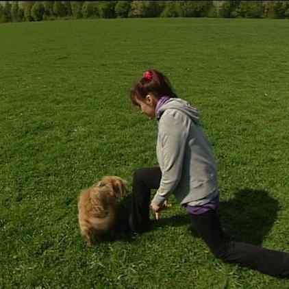 tiergeschichten1 diana trainiert maggie