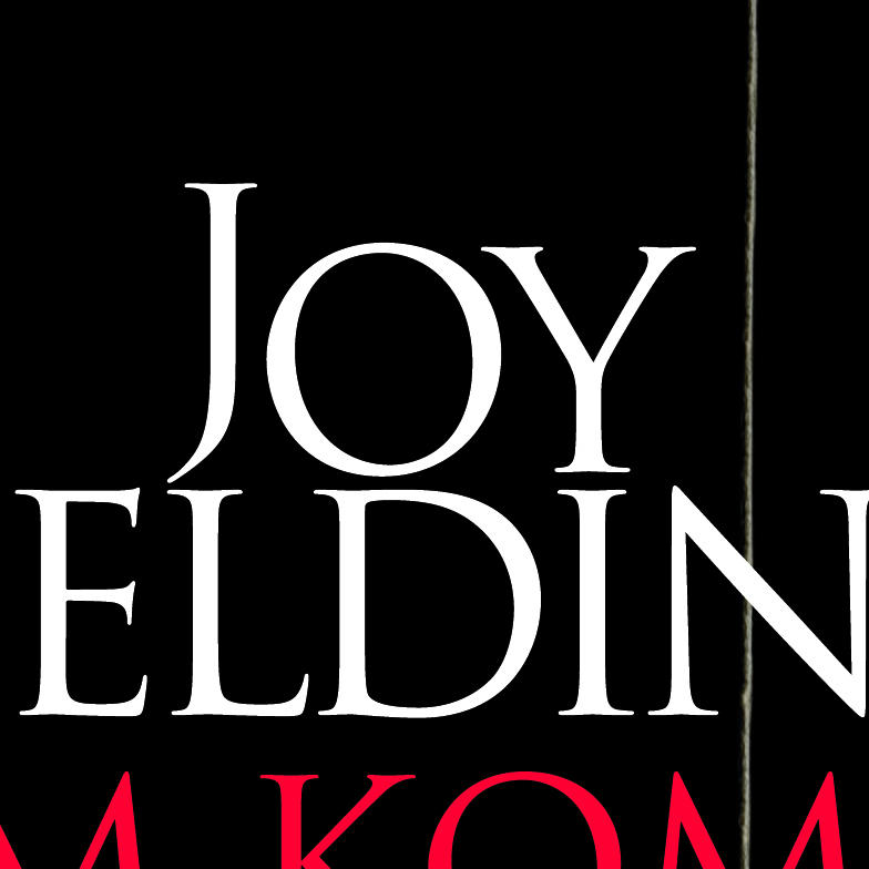 Im Koma Fielding Buchcover.jpg Im Koma Fielding Buchcover.jpg