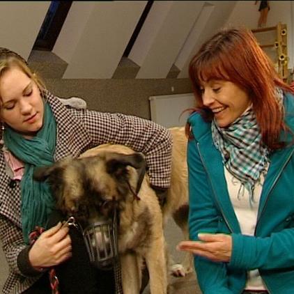 tiergesch1 dianajasminlaika tiergesch1 dianajasminlaika