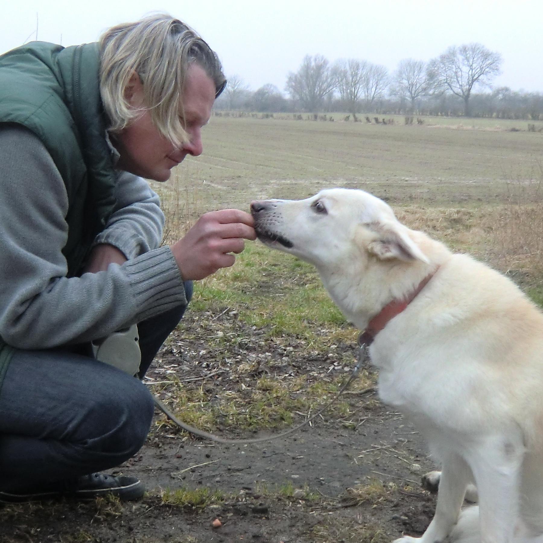 Tiere in Not 1 - Allgemein - Frank und Shiva