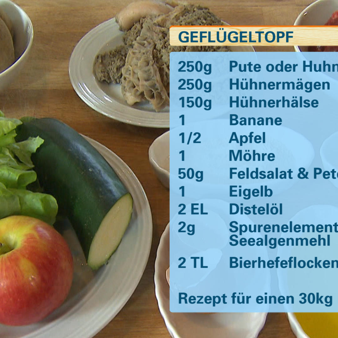 Barfen - Geflgeltopf.VOX Barfen - Geflgeltopf.VOX