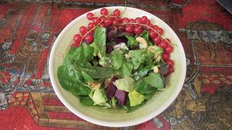 Avocado-Blattspinat-Salat