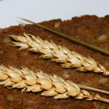 Fotolia Brot Fotolia Brot