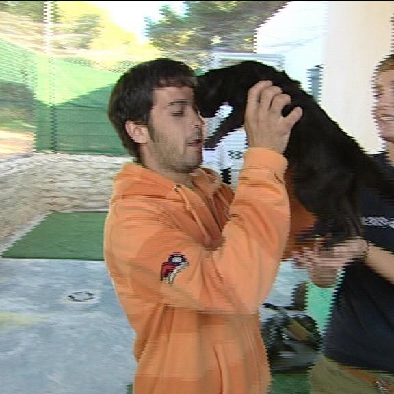 Tierschützer auf Mallorca b Tierschützer auf Mallorca b