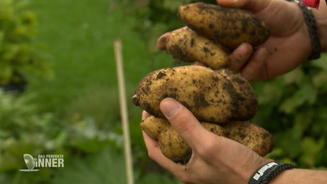 Bei Marek gibt's nur Ultra-Bio
