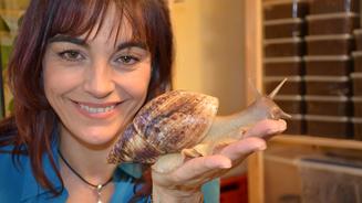 Exotische Schnecken