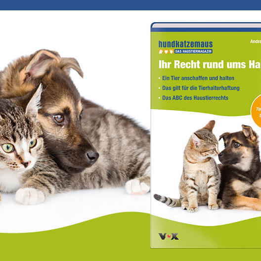 2017-01-04 143425 170103 SL hundkatzemaus webteaser.jpg 2017-01-04 143425 170103 SL hundkatzemaus webteaser.jpg