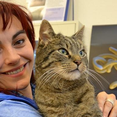 Vorschau2 - VOX-DOCMA TV-JULIA PANZER - Diana lsst ihren Kater Smudo auf Parasiten untersuchen Vorschau2 - VOX-DOCMA TV-JULIA PANZER - Diana lsst ihren Kater Smudo auf Parasiten untersuchen