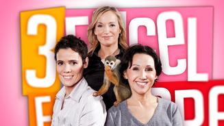 Das Experten-Trio will wieder helfen