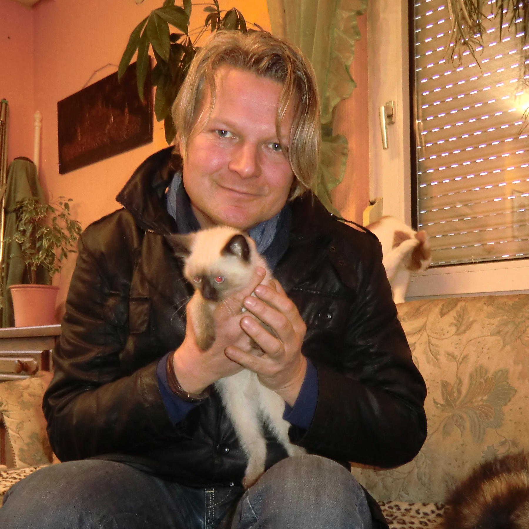Tiere in Not - Frank Weber Katzennot Tiere in Not - Frank Weber Katzennot