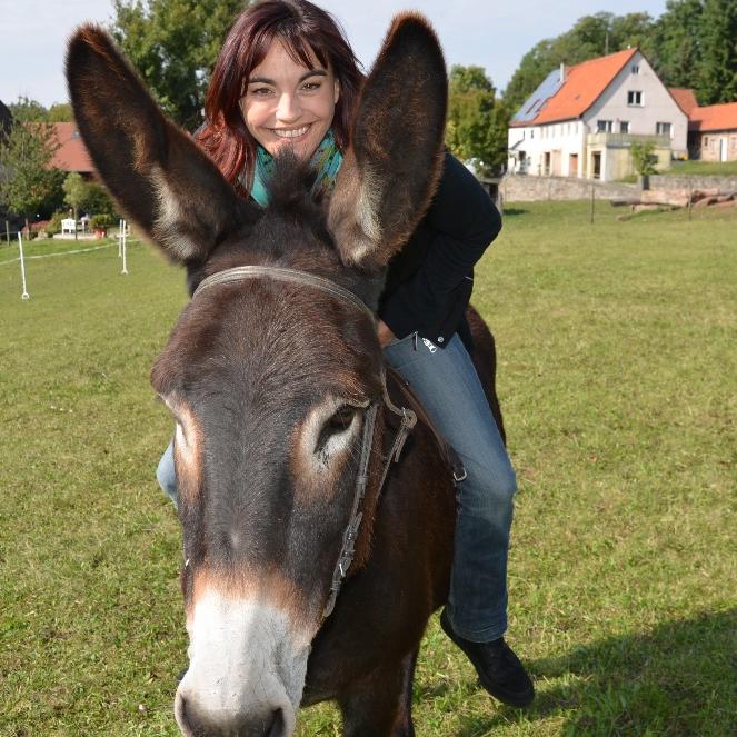 Tiergeschichten2 - VOX-DOCMA TV - Diana beim Eselrennen Tiergeschichten2 - VOX-DOCMA TV - Diana beim Eselrennen