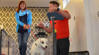 Englands Luxus-Hotel für Hunde