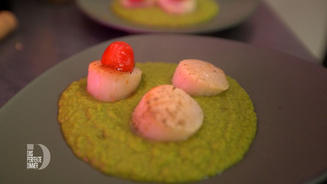 Jakobsmuscheln auf Erbsenpüree-Spiegel