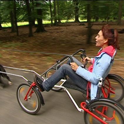 tiergeschichten1 zughundesport tiergeschichten1 zughundesport