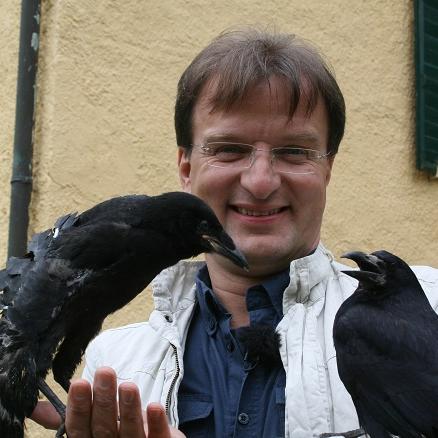 Tiergeschichten3 - VOX-DOCMA TV-CHRISTIAN NEUMANN - Krhen knnen wahre Intelligenzbiesten sein Tiergeschichten3 - VOX-DOCMA TV-CHRISTIAN NEUMANN - Krhen knnen wahre Intelligenzbiesten sein