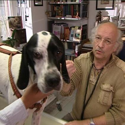 Vorschau Dr. Wolf und Hund (Grasmilben) Vorschau Dr. Wolf und Hund (Grasmilben)