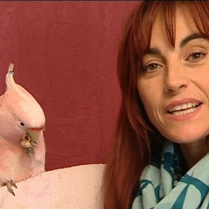 Tiergeschichten2 Inkakadu und Diana Tiergeschichten2 Inkakadu und Diana