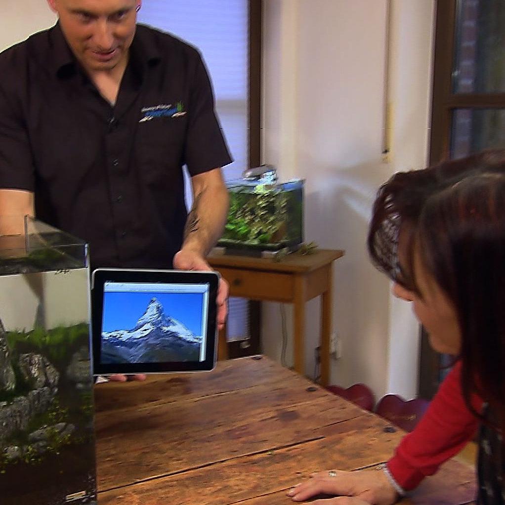 Tiergeschichten1 - Diana bestaunt Aquascaping von Oliver Knott