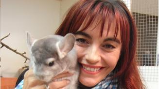Chinchillas ziehen um