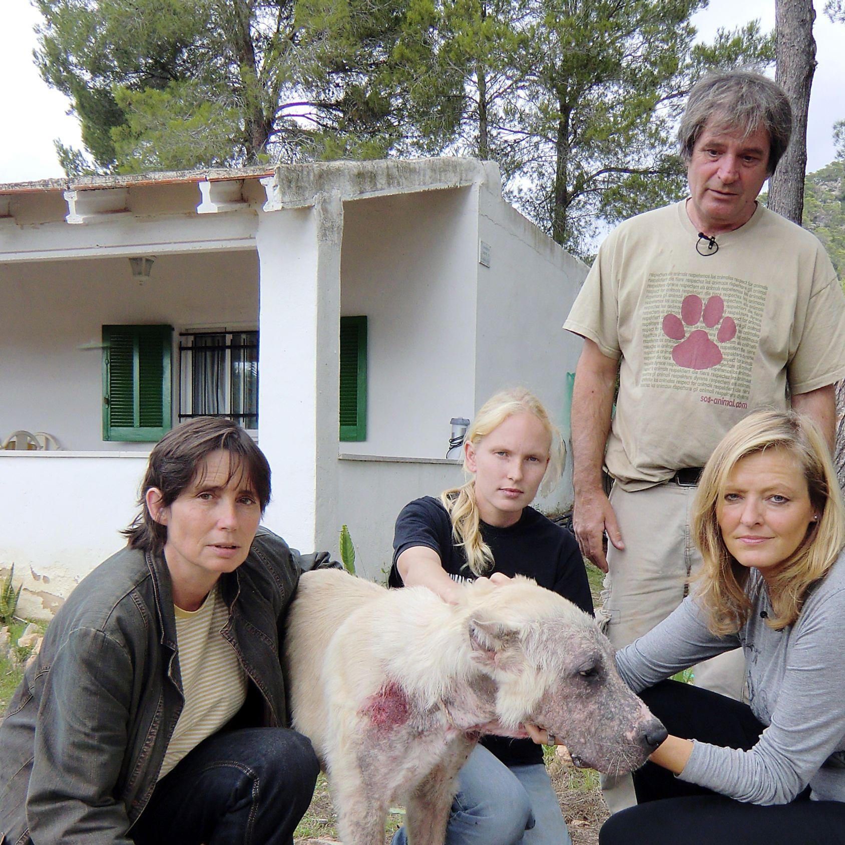 Tierschützer auf Mallorca (Hund an der Kette 2).jpg