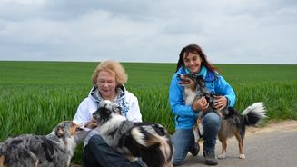 Kleine Hunde mit großem Bewegungsdrang