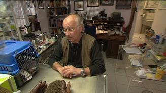 Video: Kasimir sucht ein Zuhause
