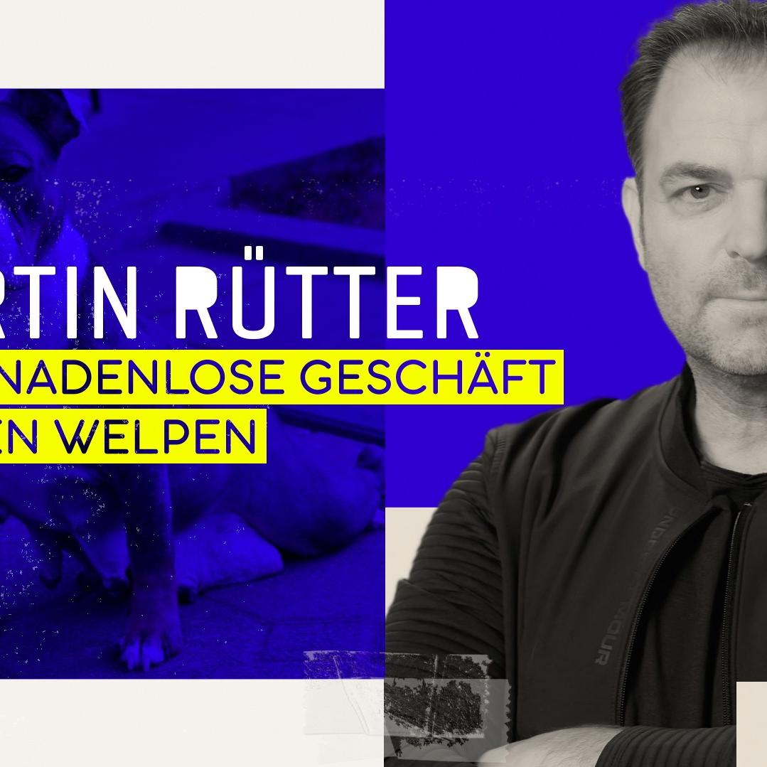Martin Rütter - Das gnadenlose Geschäft mit den Welpen