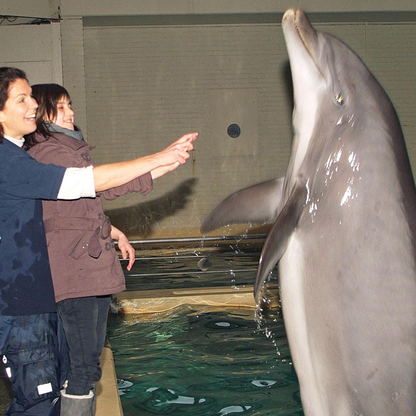Tiergeschichten2 - Delfinwunsch 1.jpg Tiergeschichten2 - Delfinwunsch 1.jpg