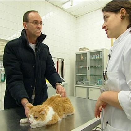 tkberlin kater jumpy tkberlin kater jumpy
